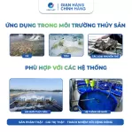 Mật Rỉ Đường Nguyên Chất